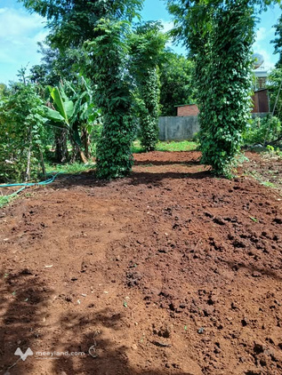 Bán đất thổ cư 60m2 tại Cư Kuin, Đắk Lắk - Giá tốt