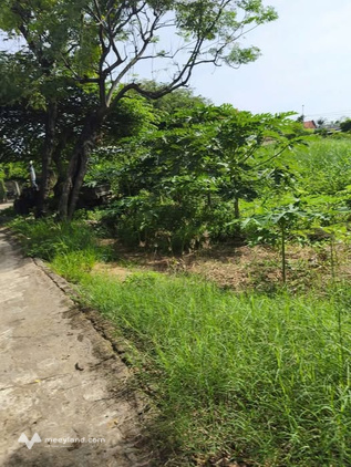 Chào mừng quý khách đến với cơ hội sở hữu lô đất vượng khí tại phường Phú Yên