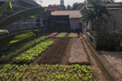 Chào mừng quý vị đến với mảnh đất vàng tại trung tâm thị trấn Lương Sơn, Hòa Bình