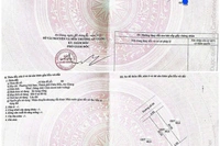 Đất Long An - Ngang 25m, sổ zin 2008, giá 7 tỷ - Thoải mái xây dựng