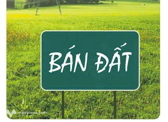 Bán đất 45m2 mặt tiền 4m, ô tô vào tận nơi tại Đa Phúc, Dương Kinh