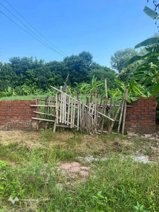 Cơ hội vàng sở hữu ngay ô đất đắc địa tại khu Long Châu Sa, phường Thanh Miếu, tỉnh Phú Thọ