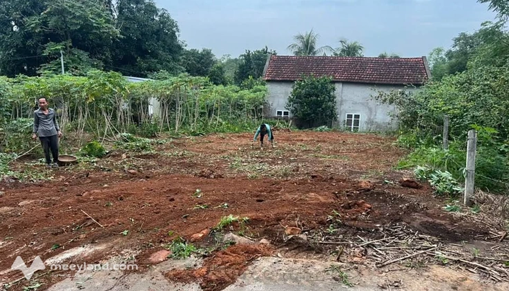Đất Vĩnh Phúc 138m2, mặt tiền 7m, dân đông, giá hời