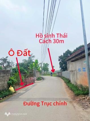 Bán đất thổ cư 96.8m² trục chính thôn Hương Ngọc, Vĩnh Phúc - Gần KCN Khai Quang