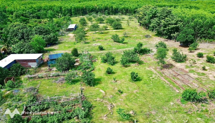 Bán lô đất vườn rộng 22000m² tại xã Khánh Phú, huyện Khánh Vĩnh, tỉnh Khánh Hòa