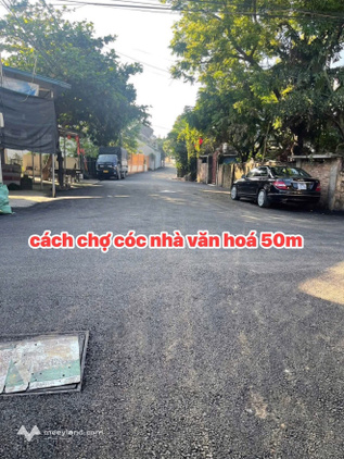 Siêu phẩm đất nền 100m² full thổ cư tại Đông Hạ, Phú Cát, Quốc Oai, Hà Nội
