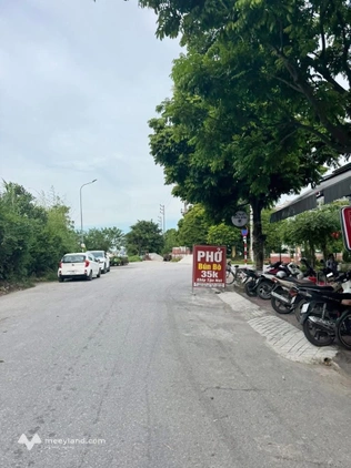 Chào mừng quý vị đến với khu đất hoa hậu tại Lai Cách, Cẩm Giàng, Hải Dương