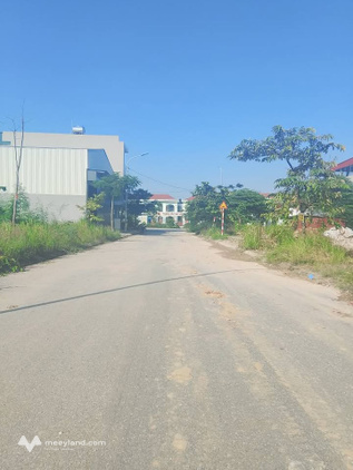 Siêu phẩm đất nền tại Vân Dương, Bắc Ninh, đẹp tựa hoa hậu, sẵn sàng chờ chủ nhân mới