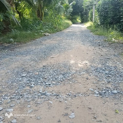 Đất nền Tân Thanh, Giồng Trôm, Bến Tre đang chờ đón chủ nhân mới