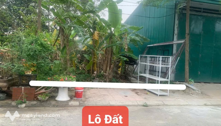 Siêu phẩm đất phân lô nhà nước khu xen ghép Mậu Lâm, Khai Quang, Vĩnh Yên đây ạ