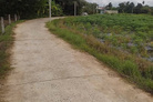 Cơ hội sở hữu ngay 117m2 thổ cư tại khu dân cư sầm uất