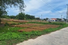 Chào mừng quý vị đến với cơ hội sở hữu một mảnh đất đắc địa tại khu tái định cư Ninh Đa