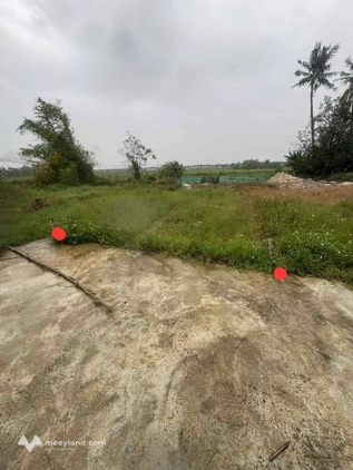 Bùng nổ 80m2 đất Đà Nẵng - Ô tô vào tận nơi, giá 2.5 tỷ bớt sổ