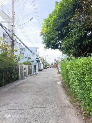 Đất nền giá rẻ bất ngờ tại An Giang - Cơ hội vàng không thể bỏ lỡ
