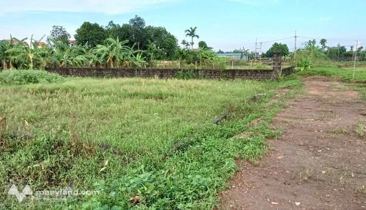 Lạc giữa vùng đất Sài Sơn, Hà Nội, có một mảnh đất 50 năm tuổi đang chờ chủ nhân mới