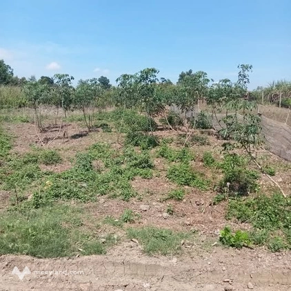 Chào mừng quý khách đến với 2 lô đất cực phẩm