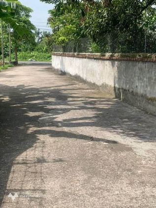 Siêu phẩm đất nền tại Tân Học, Thái Thụy, Thái Bình đã sẵn sàng chờ chủ nhân mới