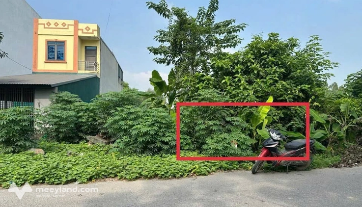 Cơ hội vàng không thể bỏ lỡ cho các nhà đầu tư thông thái