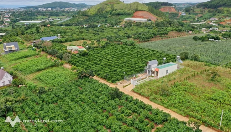Cơ hội sở hữu ngay đất nền ven Đà Lạt với diện tích 483m2