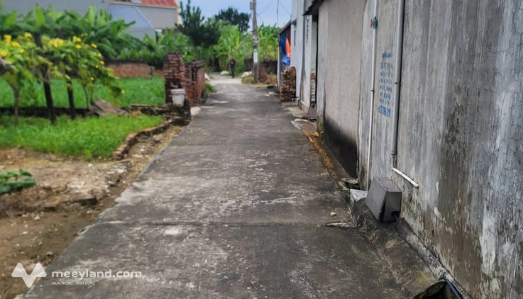Đất vàng thôn Trừng Xá - Sổ sẵn sàng công chứng, đường ô tô tới tận nơi