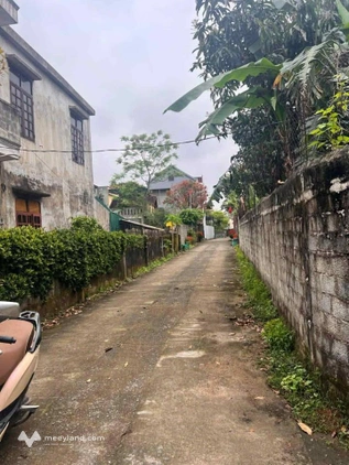 Đừng bỏ lỡ cơ hội sở hữu mảnh đất vàng tại Nam Lý, ngõ Tôn Đức Thắng, thành phố Đồng Hới, tỉnh Quảng Bình