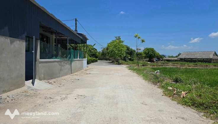 Đất Thạch Hạ siêu tiềm năng, gần khu công nghiệp, đường rộng, giá hấp dẫn