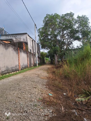 Cơ hội đầu tư đất nền có một không hai tại Phú Mỹ đang chờ đón bạn