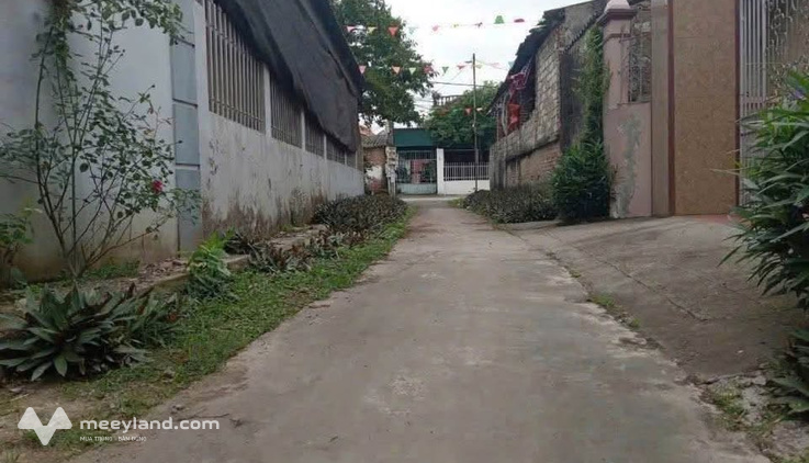 Đừng bỏ lỡ cơ hội đầu tư vào lô đất siêu tiềm năng tại thôn Hòa Lạc, Hòa Phong, thị xã Mỹ Hào