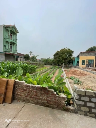 Chào mừng quý vị đến với mảnh đất vàng tại Tự Nhiên, Thường Tín, Hà Nội
