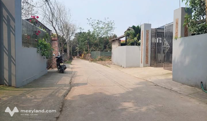 Mảnh đất vàng tại Đồng Bắc, Kim Long, Tam Dương, Vĩnh Phúc đang chờ chủ nhân mới
