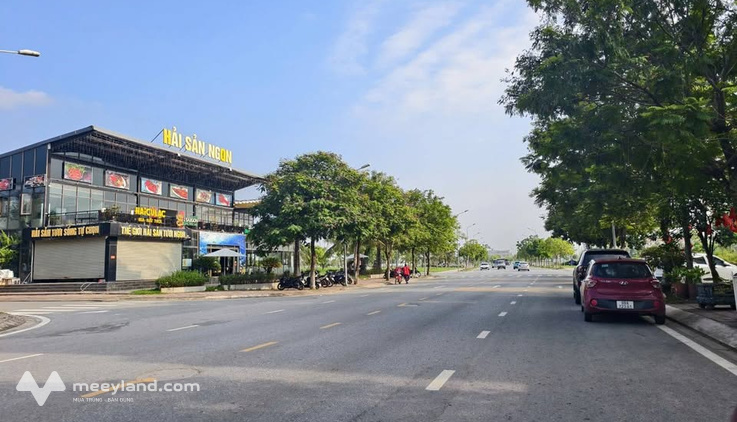 Siêu phẩm đất nền khu đô thị Nam Vĩnh Yên, Vĩnh Phúc
