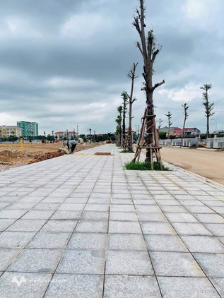 Đất vàng ngay ngã ba, giá xinh như chủ