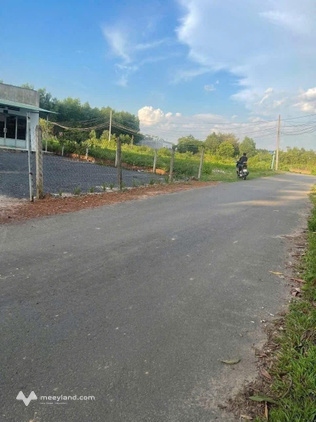 Đất vườn Giang Điền, Trảng Bom đang chờ đón nhà đầu tư thông thái