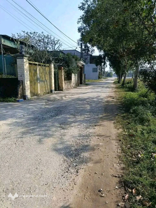 Siêu phẩm lô góc tại xóm 11, Nghi Kim, thành phố Vinh, tỉnh Nghệ An