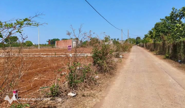 Cơ hội sở hữu ngay lô đất 5m x 21m tại hẻm cấp 1 tỉnh lộ 8, khu vực ngã ba cây Phượng, xã Cư Suê, tỉnh Đắk Lắk
