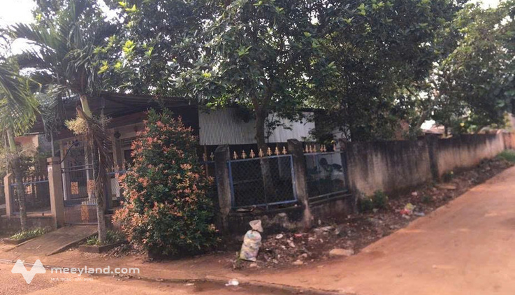 Siêu phẩm nhà thổ cư góc 2 mặt tiền đường Xuân Đường