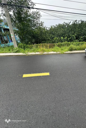 Cần bán gấp miếng đất siêu rộng 362m2 tại khu phố Bình Phong, phường Mỹ Phong