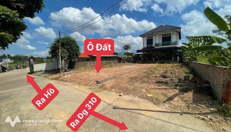 Lạc bước giữa thôn Quế, Hướng Đạo, Tam Dương, Vĩnh Phúc