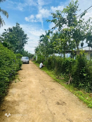 Đất vàng Dray Sáp 5.2x28m, 279 triệu - Sổ hồng cầm tay, chốt là lời