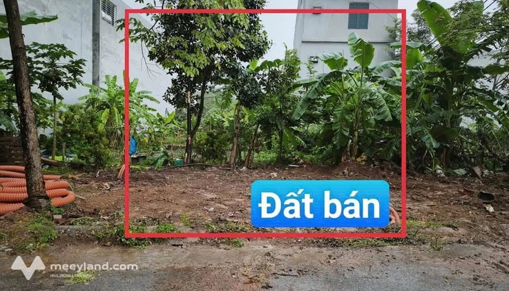 Đất vàng kinh doanh Yên Lạc 110m2, mặt tiền 7m, giá hời 3 tỷ