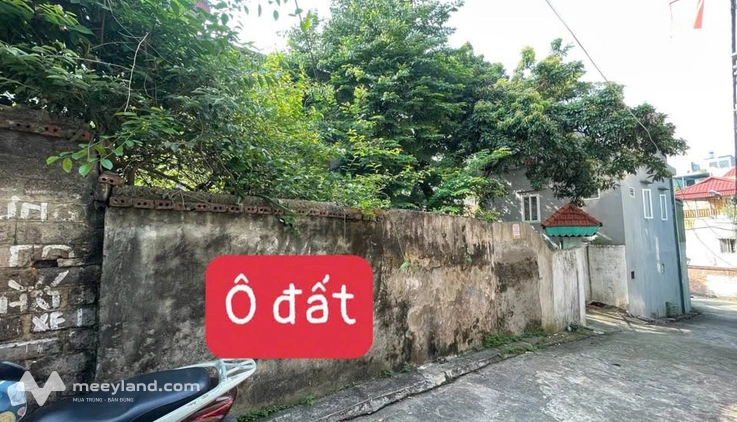 Đất nở hậu Gia Cẩm, Thanh Xuân - Ô tô vào tận đất, tài lộc nhân đôi