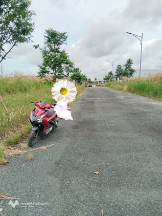 Bán đất nền khu dân cư 125m2, mặt tiền 5m tại Cà Mau