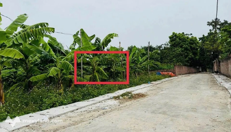 Đất Vĩnh Phúc 100m2 mặt tiền 5m, giá hời chỉ 600 triệu - Cơ hội đầu tư bất chấp thị trường