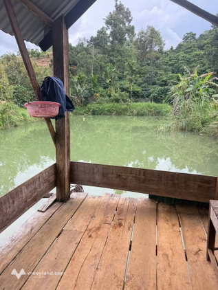 Đất rẫy view triệu đô, full cà phê sầu riêng, 2.4ha giá hời
