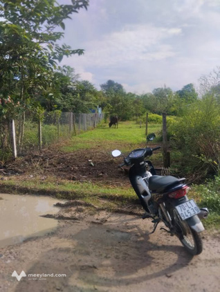 Bán đất Phước Hậu, Trảng Bàng - 5x40m, 650 triệu