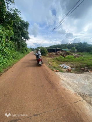 Bán nhanh lô đất Cư Suê, mặt tiền kinh doanh, gần trường học, giá hời