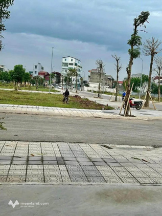 Nhà LK10 Trái Bầu, 69,75m2, mặt tiền 4,5m, hướng Đông, sổ hồng tên bạn