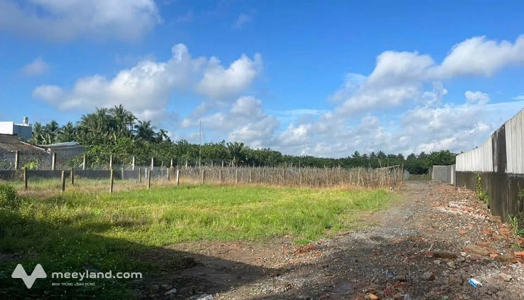 Bán gấp 6.300m² đất vườn trĩu quả, lợi nhuận khủng tại Mỹ Tho