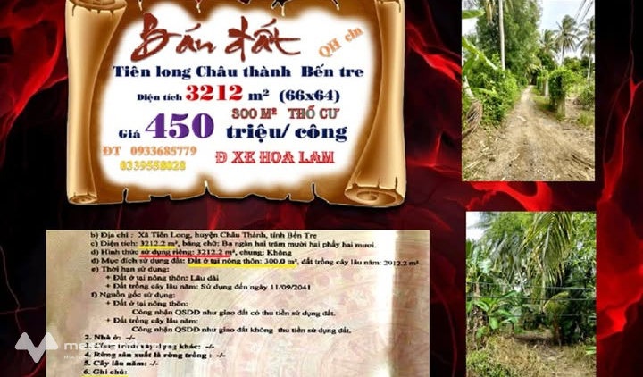 Đất vườn dừa xịn sò, view hướng Bắc mát rượi, giá iu thương