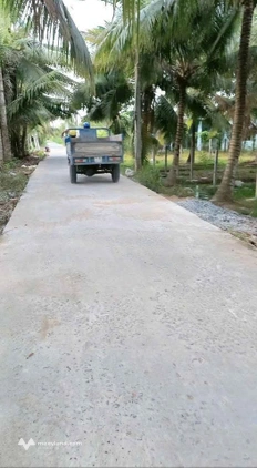 Bán vườn dừa 1.500m2 tại Bến Tre, đường thông thoáng, sổ thể hiện đường đi